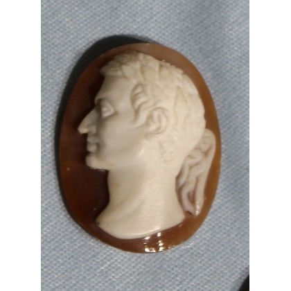 Collection de cammée "Empereurs" encadrées