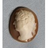 Collection de cammée "Empereurs" encadrées
