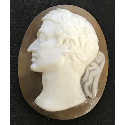 Collection de cammée "Empereurs" encadrées
