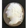 Collection de cammée "Empereurs" encadrées