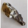 Small porcelain buffalo at  Moinat SA  - Antiques and home décor