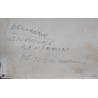 Paire de chauffeuses en cornes et assise en cuir