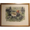 Gravure "Nette rousse" signé Robert HAINARD