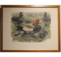 Gravure "Nette rousse" signé Robert HAINARD