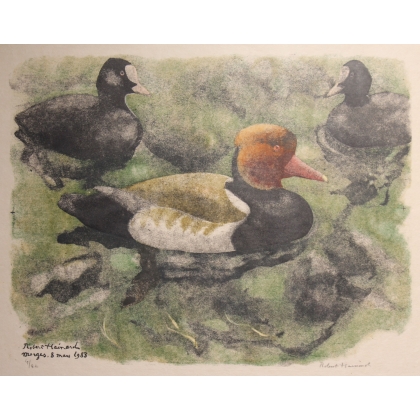 Gravure "Nette rousse" signé Robert HAINARD
