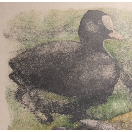 Gravure "Nette rousse" signé Robert HAINARD