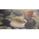 Gravure "Nette rousse" signé Robert HAINARD