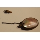 Lot de 3 objets en narcre
