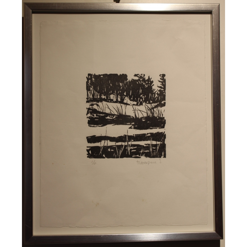 Gravure "Etang" signé TERRAPON D.