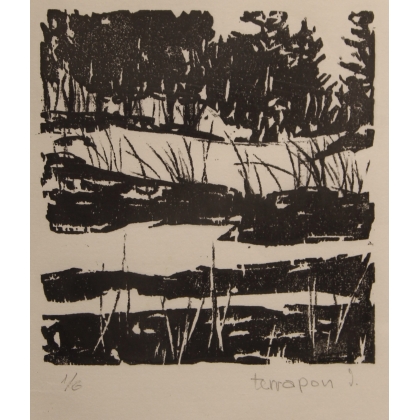 Gravure "Etang" signé TERRAPON D.