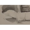 Engraving ‘Tissot’ by HEBERT