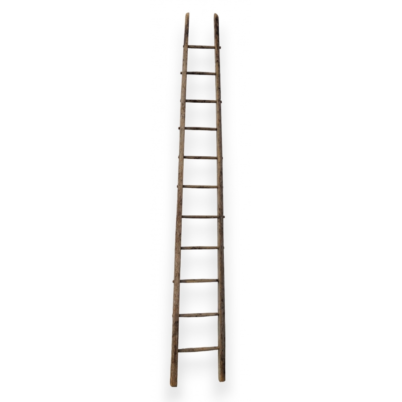 Wooden ladder