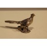 800-silver pheasant