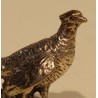 800-silver pheasant