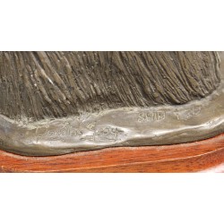 Chien "SHIH TZU" en bronze signé Douglas GRAY