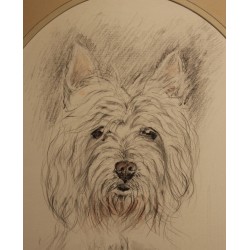 Dessin "Daphné" signé F. DE PORET 1992