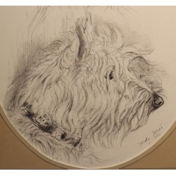 Dessin "Daphné" signé F. DE PORET 1992