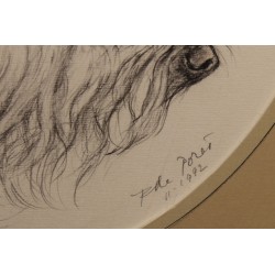 Dessin "Daphné" signé F. DE PORET 1992