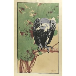 Paire de pochoirs "Rapaces" signés E. RIEDER