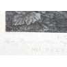 Gravure "Francisci DE MONCADA" par Raphael MORGHEN