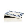 Large blue and white striped bone box