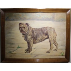 Tableau Chien \"Bulldog anglais\" signé C. KING