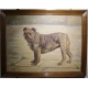 Tableau Chien "Bulldog anglais" signé C. KING