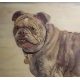 Tableau Chien "Bulldog anglais" signé C. KING