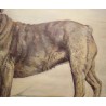 Tableau Chien \"Bulldog anglais\" signé C. KING
