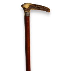 Walking stick with a horn handle and a silver ferrule