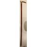 Walking stick with a horn handle and a silver ferrule