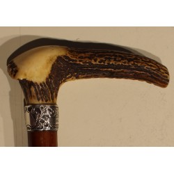 Walking stick with a horn handle and a silver ferrule