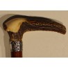 Walking stick with a horn handle and a silver ferrule