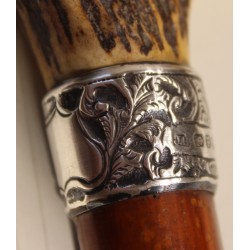 Walking stick with a horn handle and a silver ferrule