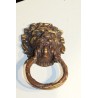 'Lion' brass handle