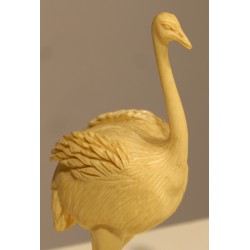 Autruche sculptée en ivoire