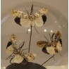 Sphère aux papillons - Moyenne