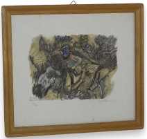 Gravure "Gorge-bleue", signée R. HAINARD