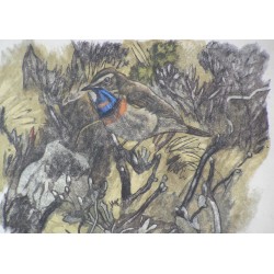 Gravure "Gorge-bleue", signée R. HAINARD  sur Moinat SA  - Antiquités décoration -  Gravures, Lithos