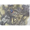 Gravure "Gorge-bleue", signée R. HAINARD  sur Moinat SA  - Antiquités décoration -  Gravures, Lithos