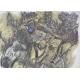 Swiss print "Bluethroat"