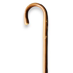 Corbin walking stick with a curved handle – Zermatt