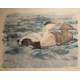 Gravure "Couple d'eiders" signé Robert HAINARD