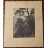 Photograph entitled ‘Chapelle’, signed by A. RYFFEL, 1911