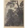 Photograph entitled ‘Chapelle’, signed by A. RYFFEL, 1911