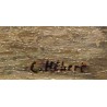 Tableau \"Forêt-Fouesnant\" signé C. HÉBERT