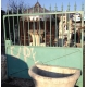 French green wrought iron gate