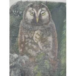 Engraving entitled ‘Grand-Duc’, signed.  by Moinat SA  – Antiques and decorative items –  Engravings, lithographs