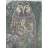 Engraving entitled ‘Grand-Duc’, signed.  by Moinat SA  – Antiques and decorative items –  Engravings, lithographs