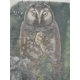 Swiss print "Eagle-owl", signe